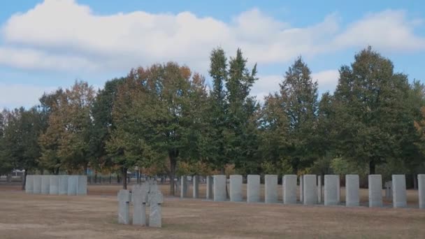 第二次世界大戦で亡くなったドイツ兵の名前と墓石 キエフの近くの美しいドイツのクラブディッシュ 死んだ兵士の名前はたくさんある ストーン — ストック動画