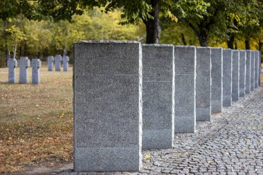 Sonbaharda Alman mezarlığında taş mezar taşları. Kyiv yakınlarında güzel bir Alman mezarlığı. 2. Dünya Savaşı sırasında birçok Alman askeri öldü..