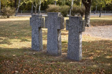 Sonbaharda Alman mezarlığında taş mezar taşları. Kyiv yakınlarında güzel bir Alman mezarlığı. 2. Dünya Savaşı sırasında birçok Alman askeri öldü..