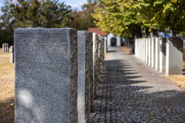 Kyiv. Kyiv bölgesi. Ukrayna. 13.10.2023. Sonbaharda Alman mezarlığında taş mezar taşları. Kyiv yakınlarında güzel bir Alman mezarlığı. 2. Dünya Savaşı sırasında birçok Alman askeri öldü..