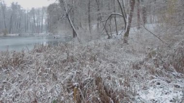 Video, geniş bir donmuş göl eşyasıyla karla örtülü bir kış manzarasının huzur verici güzelliğini yakalıyor. Gölün kıyısı boyunca ağaçlar, sazlıklar ve çalılar kış manzarası oluşturur..