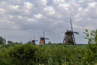 Hollanda 'nın Kinderdijk köyünde günbatımında güzel ahşap yel değirmenleri. Rüzgar değirmenleri esiyor. Güzel Hollanda kanalları suyla doludur. Güzel gün batımı.