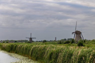 Hollanda 'nın Kinderdijk köyünde günbatımında güzel ahşap yel değirmenleri. Rüzgar değirmenleri esiyor. Güzel Hollanda kanalları suyla doludur. Güzel gün batımı.