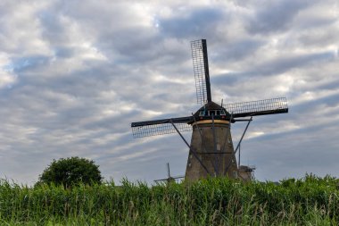 Hollanda 'nın Kinderdijk köyünde günbatımında güzel ahşap yel değirmenleri. Rüzgar değirmenleri esiyor. Güzel Hollanda kanalları suyla doludur. Güzel gün batımı.