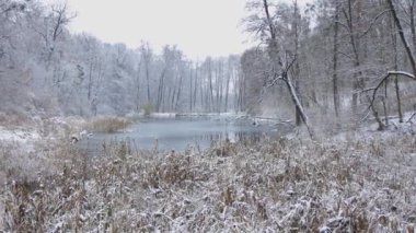 Video, geniş bir donmuş göl eşyasıyla karla örtülü bir kış manzarasının huzur verici güzelliğini yakalıyor. Gölün kıyısı boyunca ağaçlar, sazlıklar ve çalılar kış manzarası oluşturur..