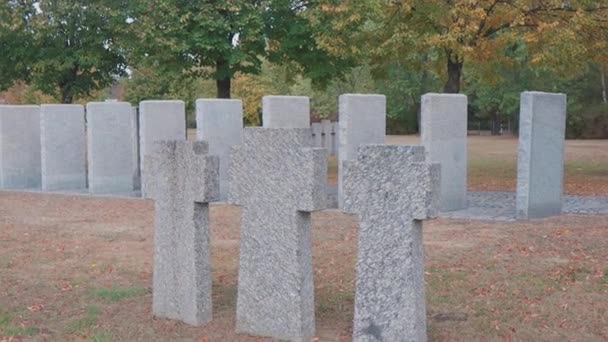 落下したドイツの墓地の石碑 キエフの近くの美しいドイツの墓地 第二次世界大戦中に死亡したドイツ兵の多く — ストック動画
