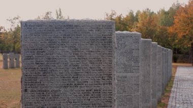 Sonbaharda Alman mezarlığında taş mezar taşları. Kyiv yakınlarında güzel bir Alman mezarlığı. 2. Dünya Savaşı sırasında birçok Alman askeri öldü..