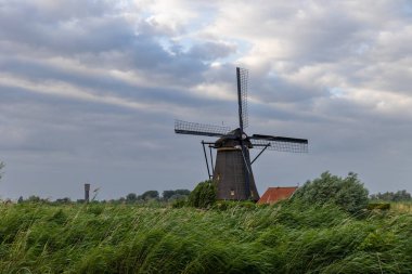 Hollanda 'nın Kinderdijk köyünde günbatımında güzel ahşap yel değirmenleri. Rüzgar değirmenleri esiyor. Güzel Hollanda kanalları suyla doludur. Güzel gün batımı.