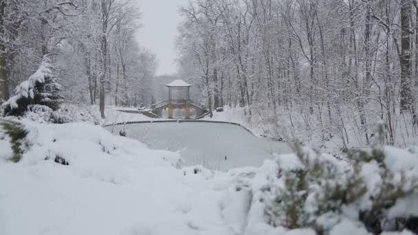 雪で覆われた美しい中国の橋 冬の森を散策する美しい散歩 雪の中の木 いたるところに雪 森の中の道は雪で覆われている — ストック動画