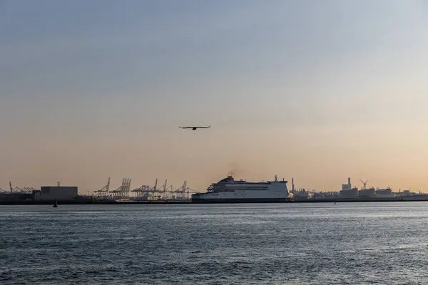 Hajók Átúsznak Északi Tengeren Szélmalmok Háttérben Tengeri Kikötő Hollandiában Sok — Stock Fotó