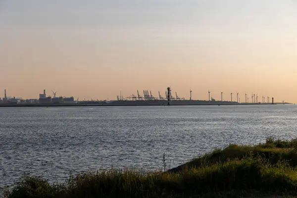 Smukke Vindmøller Rotterdam Havn Smuk Solnedgang Kysten Den Blå Nordsø - Stock-foto