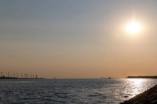 ロッテルダム港の美しい風車 海岸の美しい夕日 ブルーノース海と水面 灯台と海岸は日没の日差しで照らされています — ストック写真