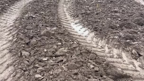 Beautiful Black Earth Arable Field Which Plowed Planting Wheat Corn — Stock Video