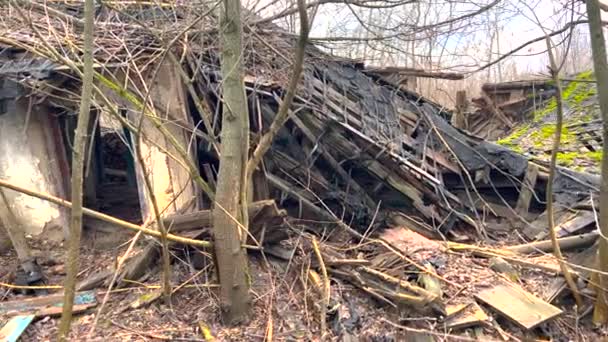 森林里被毁的房子屋顶和墙壁倒在地上 被遗弃的房子 房子周围的一切都长满了灌木和树木 没有人的住房 — 图库视频影像