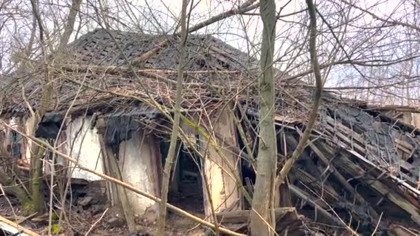 Een Verwoest Huis Het Bos Het Dak Muren Vielen Grond — Stockvideo
