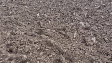 Güzel kara toprak ve ekilebilir tarla, buğday, mısır, kolza, yulaf ekmeden önce sürülmüştü. Tahıl ekmeden önce kara toprak tarlası. Güzel bir tarla bir traktör tarafından sürülür..
