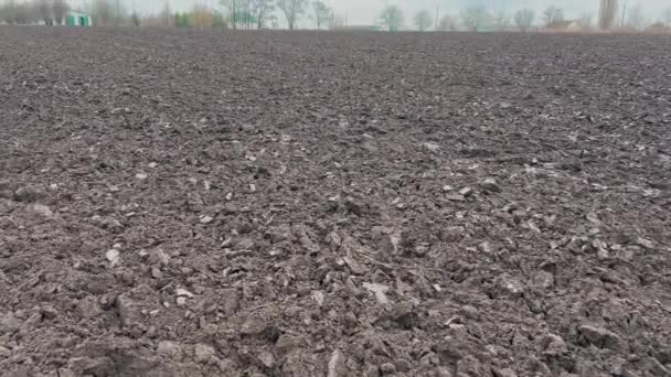 Güzel Kara Toprak Ekilebilir Tarla Buğday Mısır Kolza Yulaf Ekmeden — Stok video