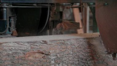 Bıçkıhanede, bir testere kahverengi ahşap keser. Ağaç kabuğu ve eski paslı testere. Yakın plan. Kereste fabrikasında çalış. Tahta ve odun parçalarından toz uçar.