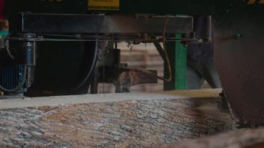Bıçkıhanede, bir testere kahverengi ahşap keser. Ağaç kabuğu ve eski paslı testere. Yakın plan. Kereste fabrikasında çalış. Tahta ve odun parçalarından toz uçar.