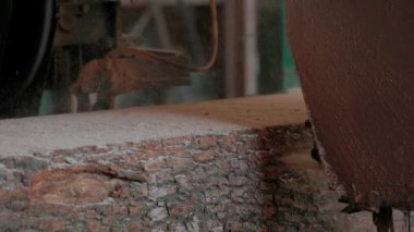 Bıçkıhanede, bir testere kahverengi ahşap keser. Ağaç kabuğu ve eski paslı testere. Yakın plan. Kereste fabrikasında çalış. Tahta ve odun parçalarından toz uçar.