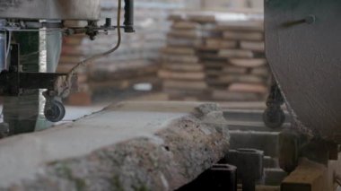 Bıçkıhanede, bir testere kahverengi ahşap keser. Ağaç kabuğu ve eski paslı testere. Yakın plan. Kereste fabrikasında çalış. Tahta ve odun parçalarından toz uçar.