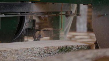 Bıçkıhanede, bir testere kahverengi ahşap keser. Ağaç kabuğu ve eski paslı testere. Yakın plan. Kereste fabrikasında çalış. Tahta ve odun parçalarından toz uçar.