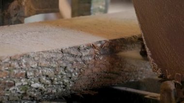 Bıçkıhanede, bir testere kahverengi ahşap keser. Ağaç kabuğu ve eski paslı testere. Yakın plan. Kereste fabrikasında çalış. Tahta ve odun parçalarından toz uçar.
