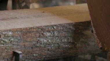 Bıçkıhanede, bir testere kahverengi ahşap keser. Ağaç kabuğu ve eski paslı testere. Yakın plan. Kereste fabrikasında çalış. Tahta ve odun parçalarından toz uçar.