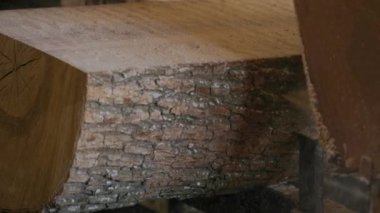 Bıçkıhanede, bir testere kahverengi ahşap keser. Ağaç kabuğu ve eski paslı testere. Yakın plan. Kereste fabrikasında çalış. Tahta ve odun parçalarından toz uçar.