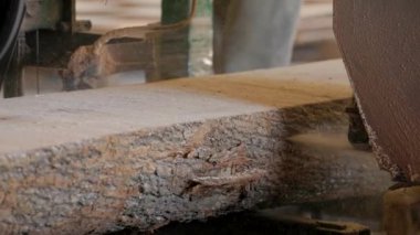 Bıçkıhanede, bir testere kahverengi ahşap keser. Ağaç kabuğu ve eski paslı testere. Yakın plan. Kereste fabrikasında çalış. Tahta ve odun parçalarından toz uçar.