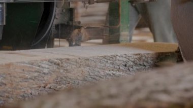 Bıçkıhanede, bir testere kahverengi ahşap keser. Ağaç kabuğu ve eski paslı testere. Yakın plan. Kereste fabrikasında çalış. Tahta ve odun parçalarından toz uçar.