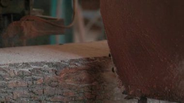 Bıçkıhanede, bir testere kahverengi ahşap keser. Ağaç kabuğu ve eski paslı testere. Yakın plan. Kereste fabrikasında çalış. Tahta ve odun parçalarından toz uçar.