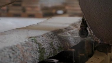 Bıçkıhanede, bir testere kahverengi ahşap keser. Ağaç kabuğu ve eski paslı testere. Yakın plan. Kereste fabrikasında çalış. Tahta ve odun parçalarından toz uçar.