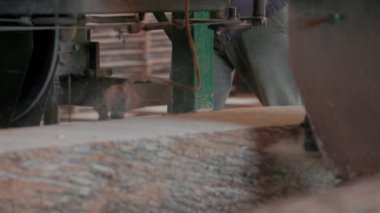 Bıçkıhanede, bir testere kahverengi ahşap keser. Ağaç kabuğu ve eski paslı testere. Yakın plan. Kereste fabrikasında çalış. Tahta ve odun parçalarından toz uçar.