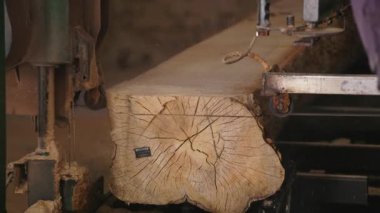 Bıçkıhanede, bir testere kahverengi ahşap keser. Ağaç kabuğu ve eski paslı testere. Yakın plan. Kereste fabrikasında çalış. Tahta ve odun parçalarından toz uçar.