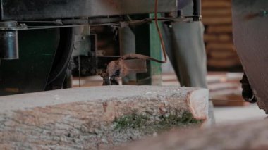 Bıçkıhanede, bir testere kahverengi ahşap keser. Ağaç kabuğu ve eski paslı testere. Yakın plan. Kereste fabrikasında çalış. Tahta ve odun parçalarından toz uçar.