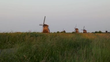 Hollanda 'nın Kinderdijk köyünde günbatımında güzel ahşap yel değirmenleri. Rüzgar değirmenleri esiyor. Güzel Hollanda kanalları suyla doludur. Güzel gün batımı.