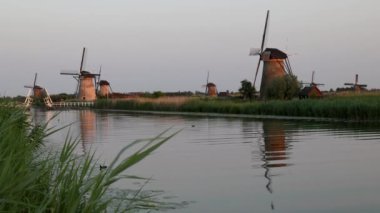 Hollanda 'nın Kinderdijk köyünde günbatımında güzel ahşap yel değirmenleri. Rüzgar değirmenleri esiyor. Güzel Hollanda kanalları suyla doludur. Güzel gün batımı.