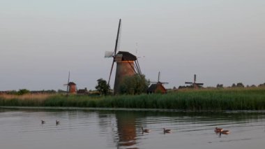 Hollanda 'nın Kinderdijk köyünde günbatımında güzel ahşap yel değirmenleri. Rüzgar değirmenleri esiyor. Güzel Hollanda kanalları suyla doludur. Güzel gün batımı.
