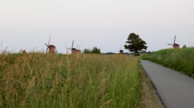 Hollanda 'nın Kinderdijk köyünde günbatımında güzel ahşap yel değirmenleri. Rüzgar değirmenleri esiyor. Güzel Hollanda kanalları suyla doludur. Güzel gün batımı.