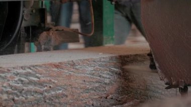 Bıçkıhanede, bir testere kahverengi ahşap keser. Ağaç kabuğu ve eski paslı testere. Yakın plan. Kereste fabrikasında çalış. Tahta ve odun parçalarından toz uçar.