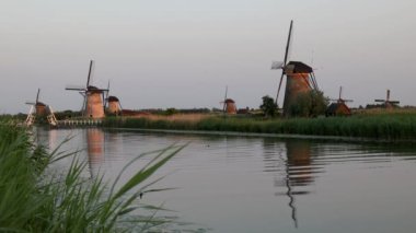 Hollanda 'nın Kinderdijk köyünde günbatımında güzel ahşap yel değirmenleri. Rüzgar değirmenleri esiyor. Güzel Hollanda kanalları suyla doludur. Güzel gün batımı.