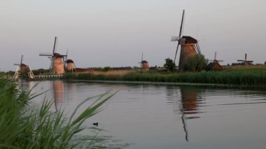 Hollanda 'nın Kinderdijk köyünde günbatımında güzel ahşap yel değirmenleri. Rüzgar değirmenleri esiyor. Güzel Hollanda kanalları suyla doludur. Güzel gün batımı.