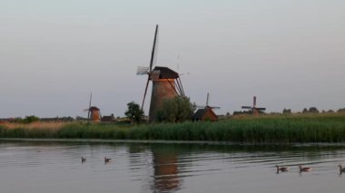 Hollanda 'nın Kinderdijk köyünde günbatımında güzel ahşap yel değirmenleri. Rüzgar değirmenleri esiyor. Güzel Hollanda kanalları suyla doludur. Güzel gün batımı.