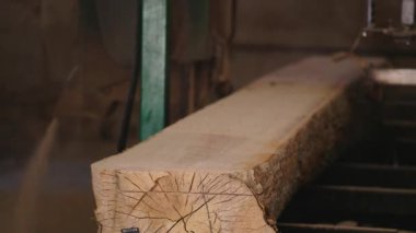 Bıçkıhanede, bir testere kahverengi ahşap keser. Ağaç kabuğu ve eski paslı testere. Yakın plan. Kereste fabrikasında çalış. Tahta ve odun parçalarından toz uçar.