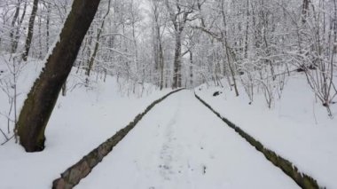 Kış ormanında güzel bir yürüyüş. Ağaçlar, dallar ve çalılar karda. Her yer kar. Ormandaki yol karla kaplı..