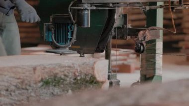 Bıçkıhanede, bir testere kahverengi ahşap keser. Ağaç kabuğu ve eski paslı testere. Yakın plan. Kereste fabrikasında çalış. Tahta ve odun parçalarından toz uçar.