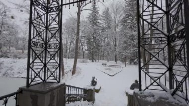Güzel Çin köprüsü karla kaplı. Kış ormanında güzel bir yürüyüş. Ağaçlar, dallar ve çalılar karda. Her yer kar. Ormandaki yol karla kaplı..