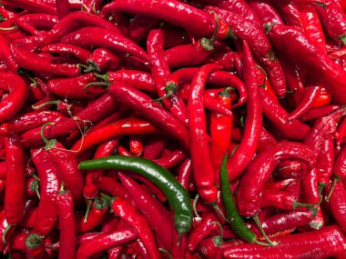Canlı kırmızı kırmızı biber yığını ve birkaç yeşil biber. Parlak dokularını ve parlak renklerini sergiliyorlar. Aşçılıktaki baharatlı ve aromalı malzemelerin mükemmel bir temsili..