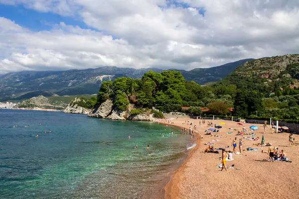 Sveti Stefan, Karadağ - 10.08.2024: Turkuaz suları ve verimli yeşil uçurumlar ve tepelerle çevrili kumlu bir sahil. İnsanlar yüzüyor, güneşleniyor ve güneşli bir günün tadını çıkarıyor.